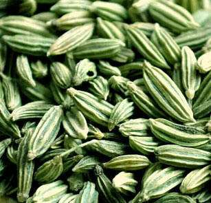 fennel